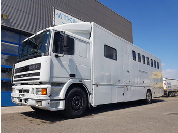 Camion chevaux DAF 95 350