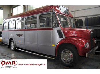 Bus