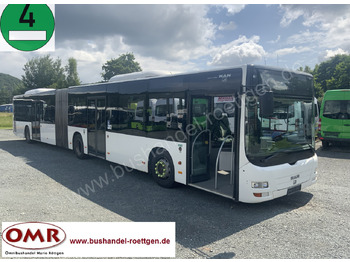 Bus articulé MAN Lion's City A23