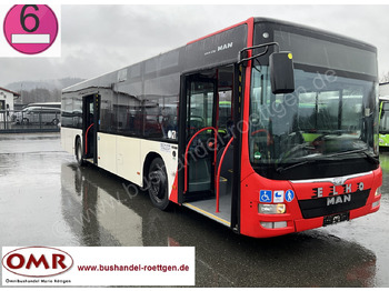 Bus urbain MAN Lion's City A37