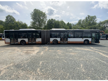 Bus articulé Mercedes-Benz O 530 G Citaro: photos 4