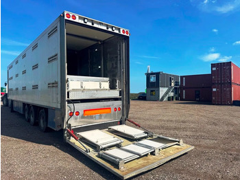 Semi-remorque bétaillère Fliegl Vandborg 3 stock pig trailer: photos 3