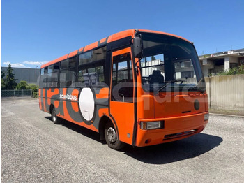 Bus scolaire IVECO