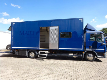 Camion fourgon MAN