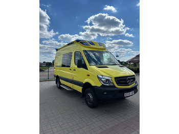 Transport de personnes MERCEDES-BENZ Sprinter 519