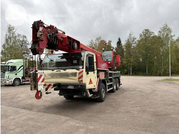 Grue tout-terrain TEREX