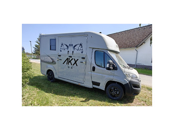 Opel Movano AKX by Stephex en leasing occasion Opel Movano AKX by Stephex: photos 2 Opel Movano AKX by Stephex en leasing occasion Opel Movano AKX by Stephex: photos 2