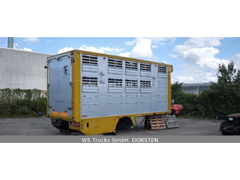Camion chevaux