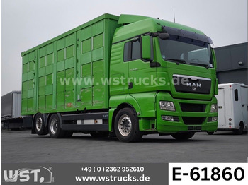 Camion chevaux MAN TGX 26.480