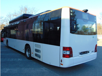 Bus urbain N.4 MAN LION’S CITY CNG – Anno 2014: photos 5