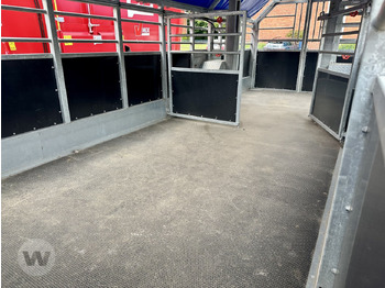 Remorque bétaillère neuf TRANSPORTW. 7M: photos 4
