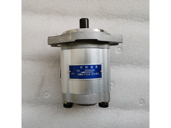Pompe hydraulique