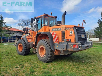 Mini pelle Volvo: photos 4 Mini pelle Volvo: photos 4