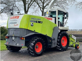 Ensileuse Claas Jaguar 830 492: photos 4