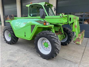 Grue MERLO