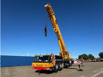 Grue tout-terrain Grove GMK6300 300/330 Tonnen, Wippspitze, TOP-Zustand: photos 2