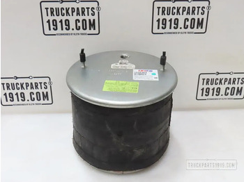 Suspension pneumatique DAF