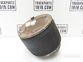 Suspension pneumatique DAF