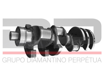 Vilebrequin SCANIA S