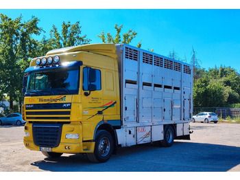 Camion bétaillère DAF XF