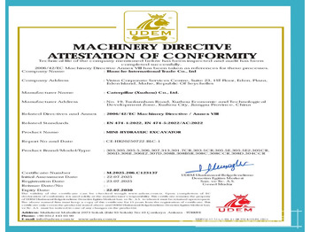 Mini pelle CATERPILLAR 306