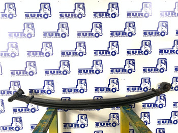 Suspension du ressort SCANIA