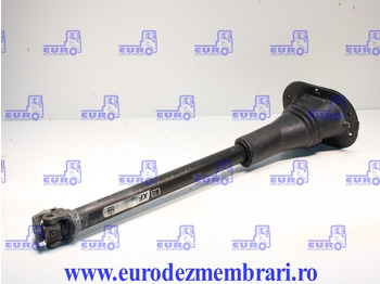 Cabine et intérieur DAF XF