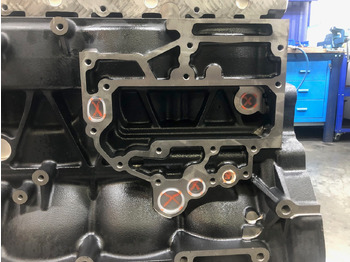 Bloc-cylindres pour Camion LONGBLOCK MAN D2066 EURO 6c (camion): photos 3