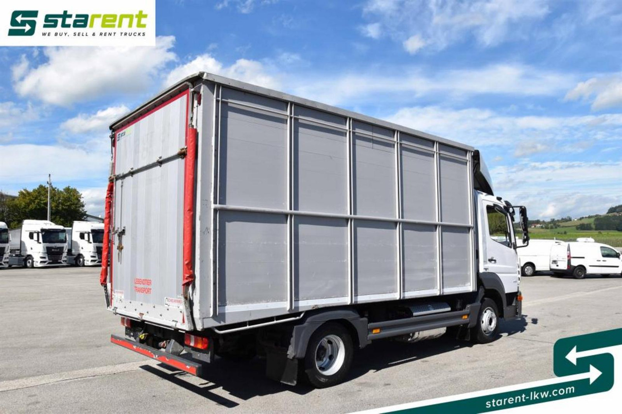 Mercedes Benz 818 Viehtransporter Scheuwimmer Aufbau - Camion bétaillère: photos 5 Mercedes Benz 818 Viehtransporter Scheuwimmer Aufbau - Camion bétaillère: photos 5