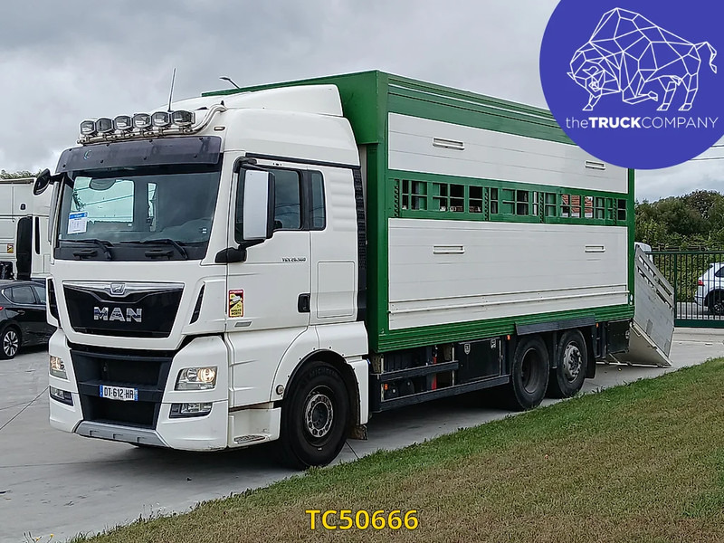 MAN TGX 460 - Camion bétaillère: photos 1 MAN TGX 460 - Camion bétaillère: photos 1