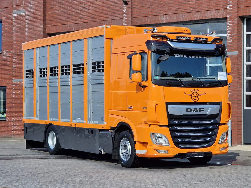 DAF XF 530 4x2 - Livestock Menke 2 deck water & ventilation - Camion bétaillère: photos 3 DAF XF 530 4x2 - Livestock Menke 2 deck water & ventilation - Camion bétaillère: photos 3