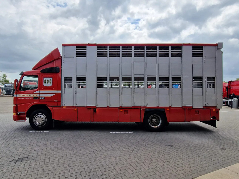 Volvo FM 250 4x- Livestock 2 deck - Lifting floors - Loadlift - Manual gearbox - Camion bétaillère: photos 4 Volvo FM 250 4x- Livestock 2 deck - Lifting floors - Loadlift - Manual gearbox - Camion bétaillère: photos 4
