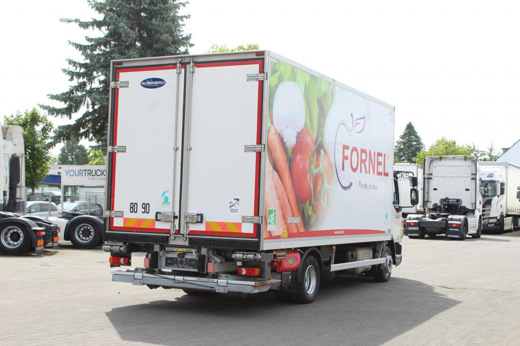 Daf LF 260 E6  Carrier Supra 550   Strom  Tür   LBW en leasing occasion Daf LF 260 E6  Carrier Supra 550   Strom  Tür   LBW: photos 10