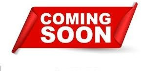 MAN TGS 18.320 4x4 Winterdienst Wechselsystem - Châssis cabine: photos 3 MAN TGS 18.320 4x4 Winterdienst Wechselsystem - Châssis cabine: photos 3