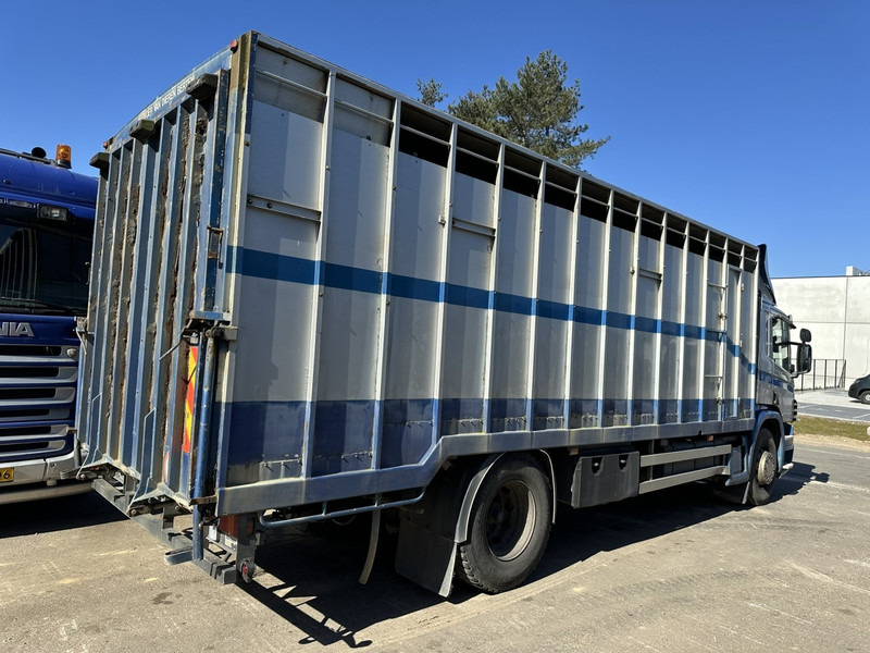 Scania P310 4x2 ANIMAL TRANSPORT - ALU BOX 7m - MANUAL - AIR SUSPENSION - A/C - BELGIAN TRUCK - Camion bétaillère: photos 4 Scania P310 4x2 ANIMAL TRANSPORT - ALU BOX 7m - MANUAL - AIR SUSPENSION - A/C - BELGIAN TRUCK - Camion bétaillère: photos 4