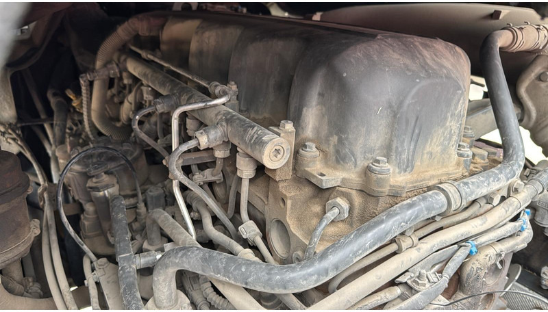 Tracteur routier DAF XF 460 (BOITE MANUELLE / MANUAL GEARBOX): photos 20 Tracteur routier DAF XF 460 (BOITE MANUELLE / MANUAL GEARBOX): photos 20