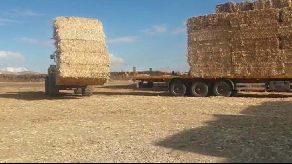 Fourches pour Machine agricole neuf Galen Loader Bale Spear Attachment: photos 7 Fourches pour Machine agricole neuf Galen Loader Bale Spear Attachment: photos 7