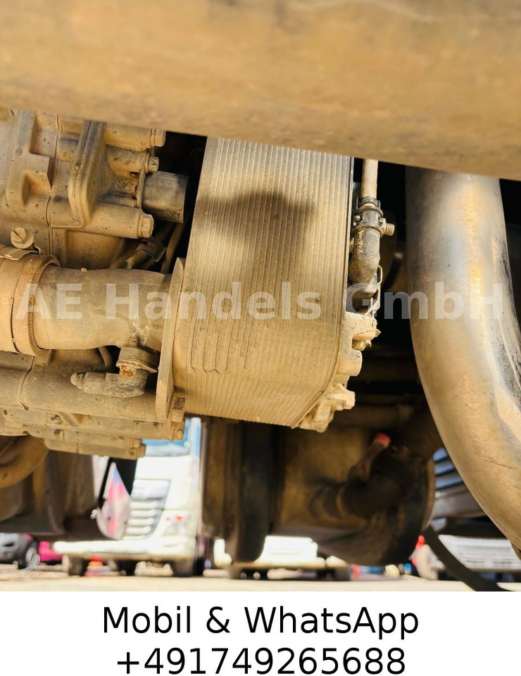 Tracteur routier neuf DAF XF 530 SC BL PXP 4x4 *Retarder/Hydr./Standklima: photos 12 Tracteur routier neuf DAF XF 530 SC BL PXP 4x4 *Retarder/Hydr./Standklima: photos 12