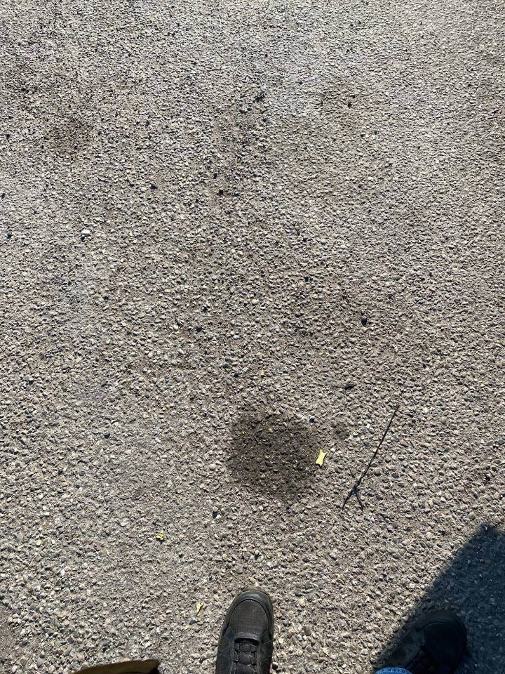 Camion porte-conteneur/ Caisse mobile Iveco STRALIS 460NP LNG RETARDER: photos 33