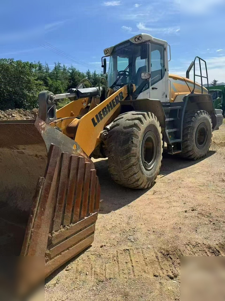 2020 LIEBHERR L550 - Chargeuse sur pneus: photos 1 2020 LIEBHERR L550 - Chargeuse sur pneus: photos 1