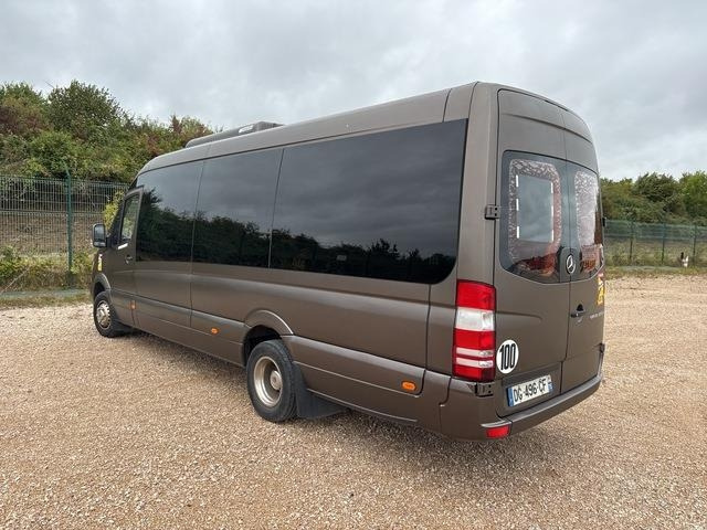 Mercedes-Benz 516 Integralia Tattoo - Minibus, Transport de personnes: photos 2 Mercedes-Benz 516 Integralia Tattoo - Minibus, Transport de personnes: photos 2