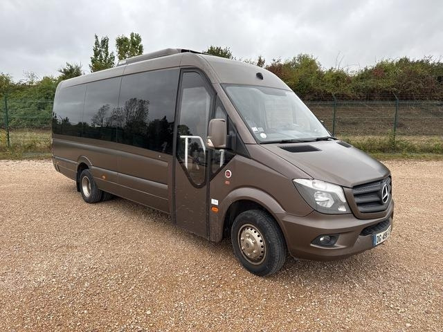 Mercedes-Benz 516 Integralia Tattoo - Minibus, Transport de personnes: photos 4 Mercedes-Benz 516 Integralia Tattoo - Minibus, Transport de personnes: photos 4