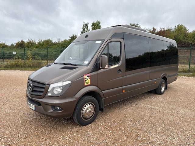 Mercedes-Benz 516 Integralia Tattoo - Minibus, Transport de personnes: photos 1 Mercedes-Benz 516 Integralia Tattoo - Minibus, Transport de personnes: photos 1