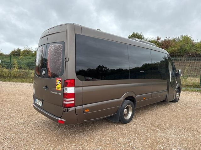 Mercedes-Benz 516 Integralia Tattoo - Minibus, Transport de personnes: photos 3 Mercedes-Benz 516 Integralia Tattoo - Minibus, Transport de personnes: photos 3