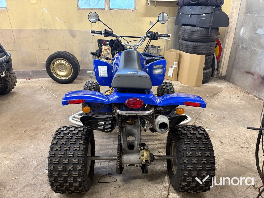 GasGas Wild HP 450 - Quadricycle: photos 4 GasGas Wild HP 450 - Quadricycle: photos 4