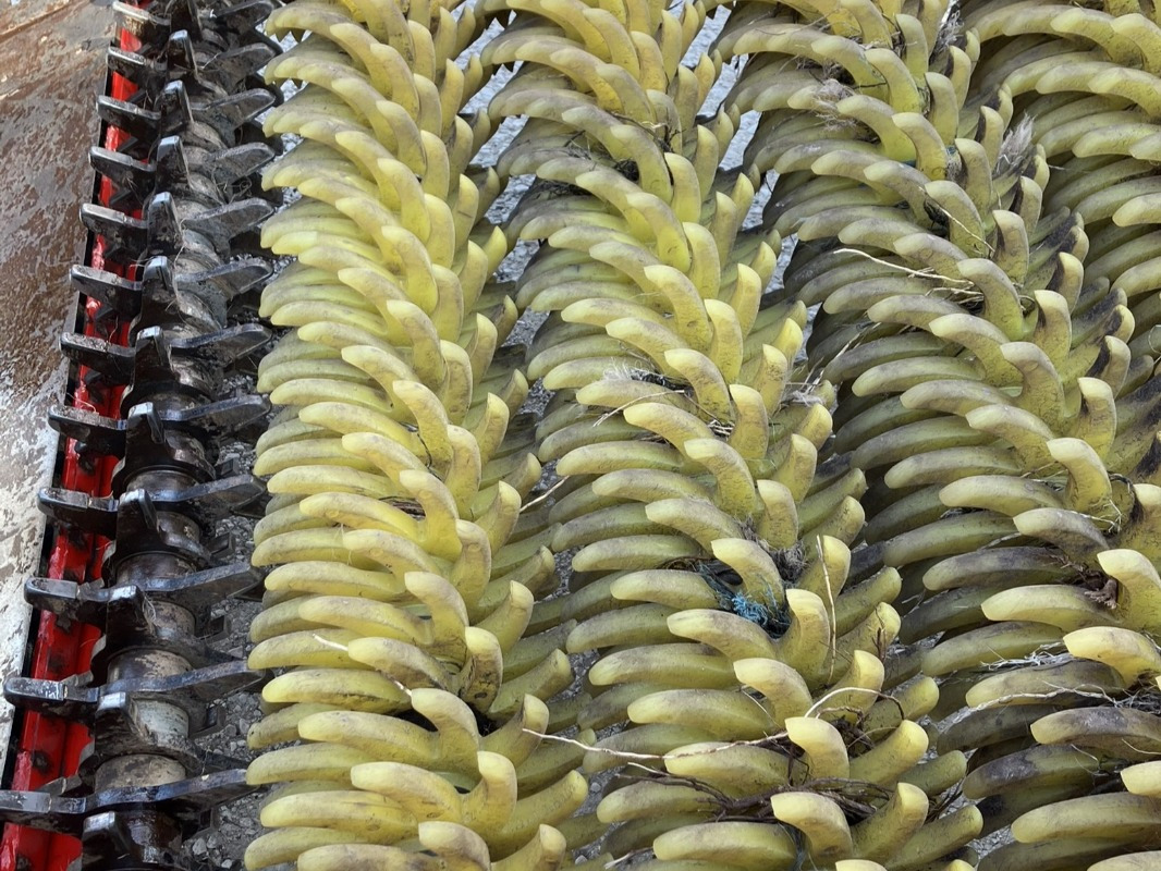 Grimme CS-170 RP XL - Arracheuse de pommes de terre: photos 5 Grimme CS-170 RP XL - Arracheuse de pommes de terre: photos 5