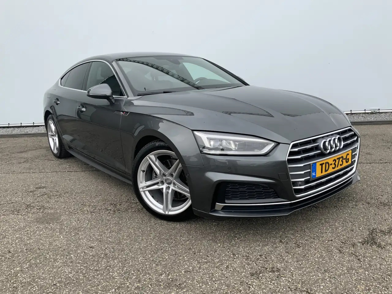 Voiture à hayon Audi A5 Sportback 2.0 TFSI g-tron Sport 2 x S-line edition: photos 12