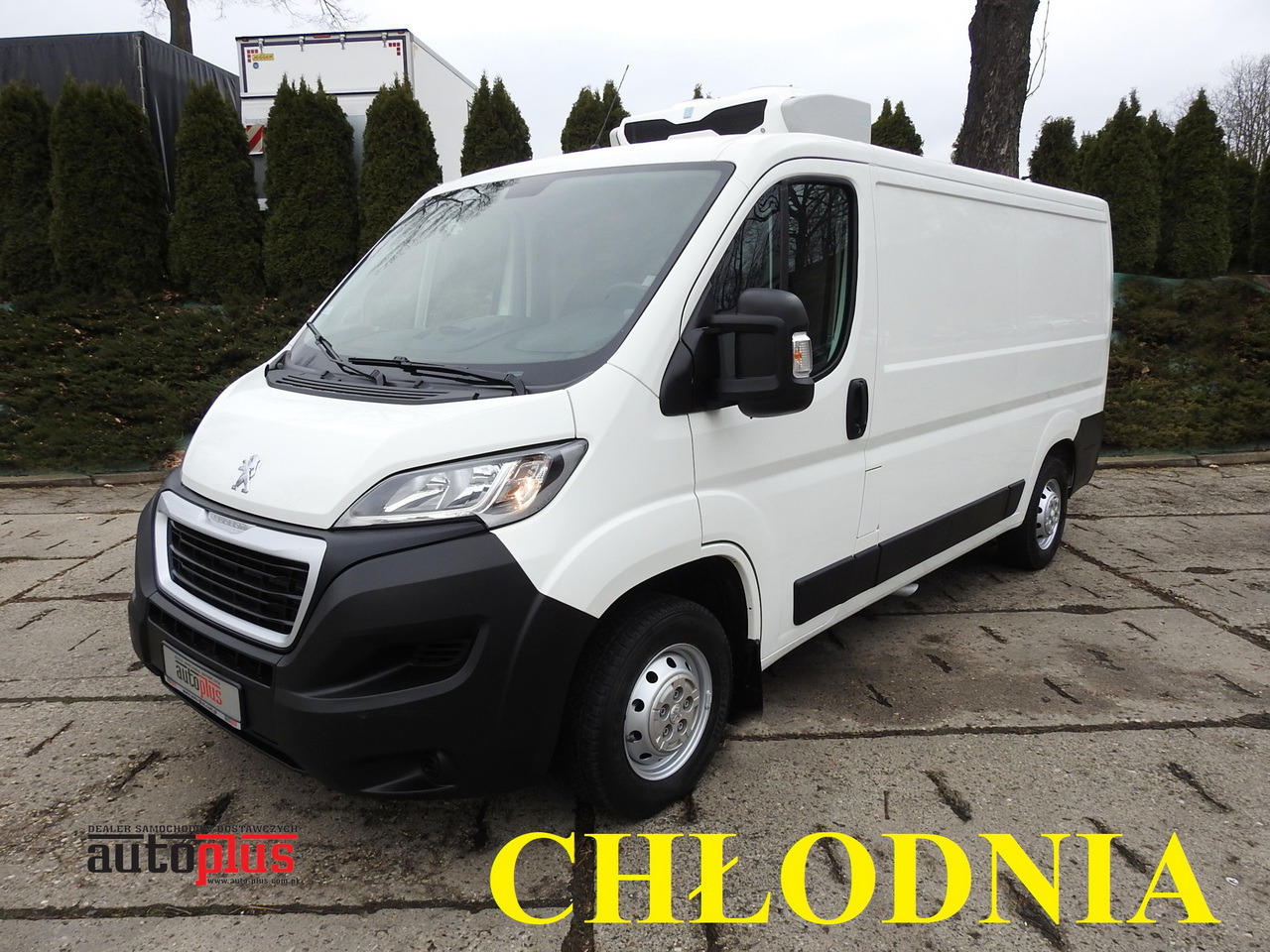 PEUGEOT BOXER REFRIGERATOR VAN -5*C TWO COMPARTMENTS CRUISE CONTROL AIR CONDITIONING 120HP - Utilitaire frigorifique: photos 1 PEUGEOT BOXER REFRIGERATOR VAN -5*C TWO COMPARTMENTS CRUISE CONTROL AIR CONDITIONING 120HP - Utilitaire frigorifique: photos 1