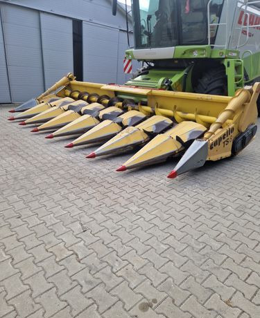 Moissonneuse-batteuse Kombajn zbożawy Claas Lexon 570  Kombajn zbożowy CLAAS LEXION 570+ heder VARIO 7,5m: photos 16