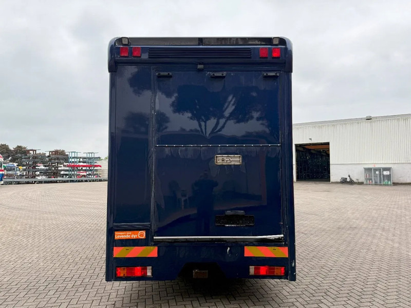 Mercedes-Benz Atego 1223 / ENGINE RUNNING / ONLY:159450 KM / HORSETRUCK / HEATED BOX / WATERTANK / LIVING ROOM / EURO-2 / MANUAL / 1998 - Camion chevaux: photos 4 Mercedes-Benz Atego 1223 / ENGINE RUNNING / ONLY:159450 KM / HORSETRUCK / HEATED BOX / WATERTANK / LIVING ROOM / EURO-2 / MANUAL / 1998 - Camion chevaux: photos 4
